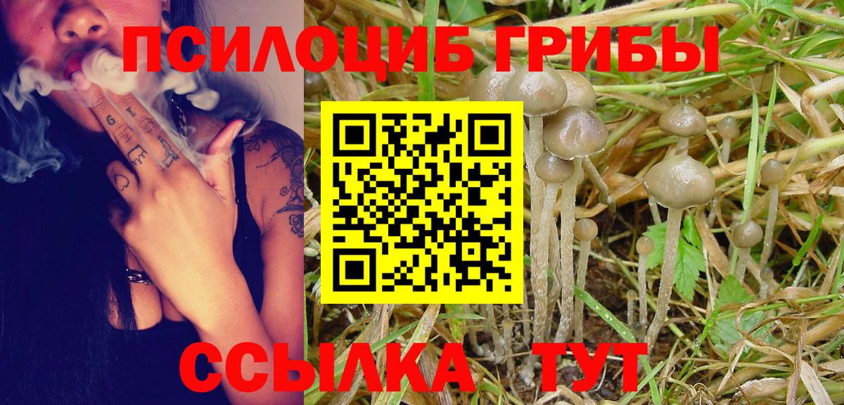 Галлюциногенные грибы Magic Shrooms  Галлюциногенные грибы Psilocybine cubensis  Вход с VPN  Владивосток 